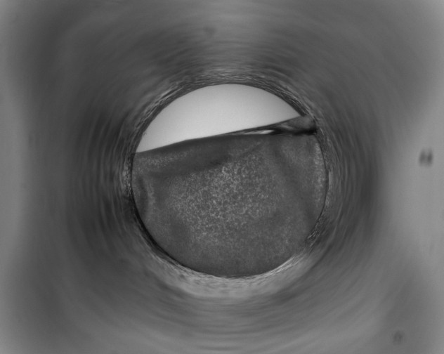 X0000099410048200805301355