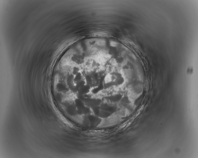 X0000099410049200805301354