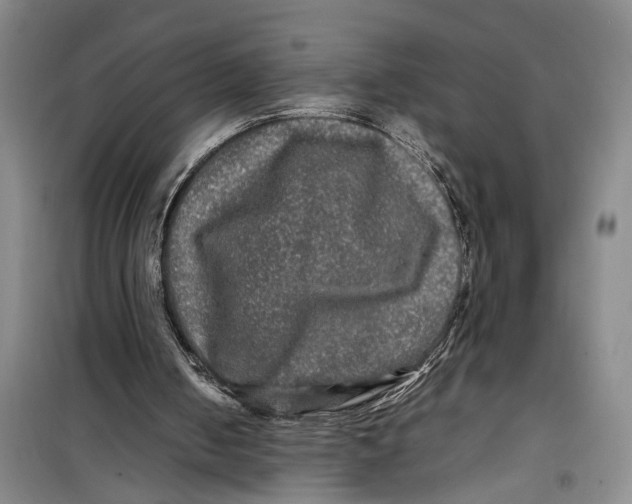 X0000099410050200805301354