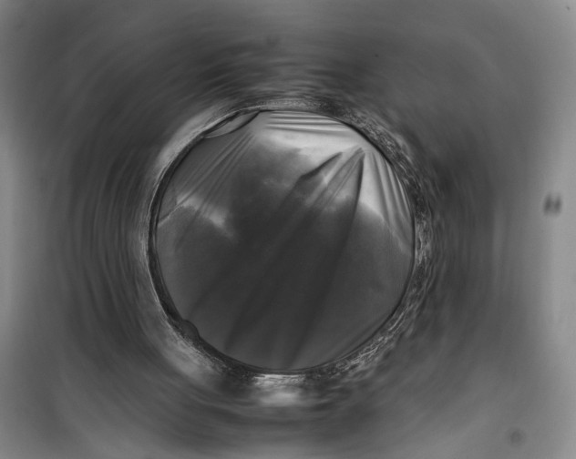 X0000099410051200805301354