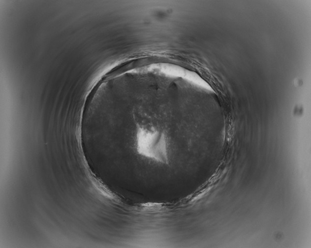 X0000099410052200805301354