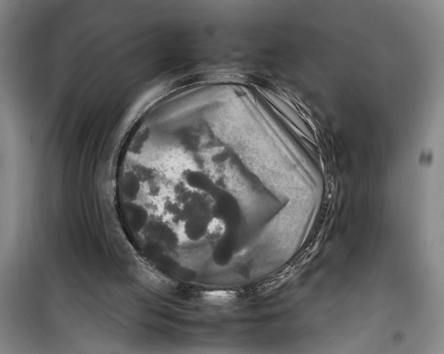 X0000099410053200805301354