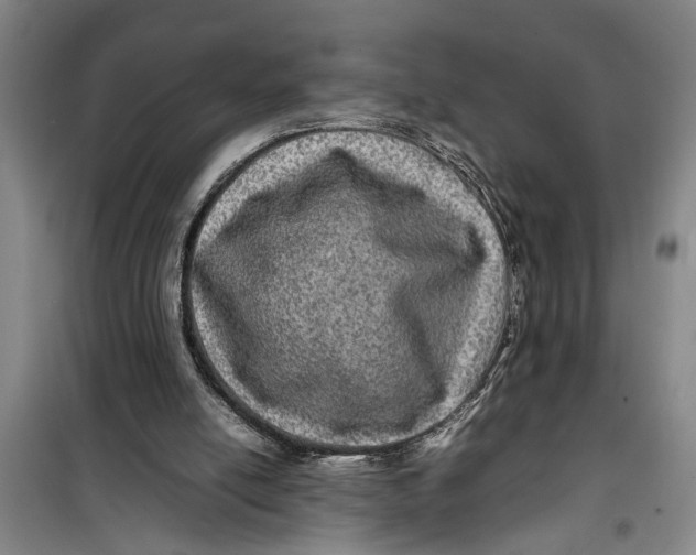 X0000099410054200805301354