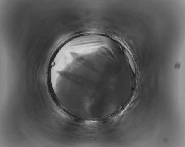 X0000099410055200805301354