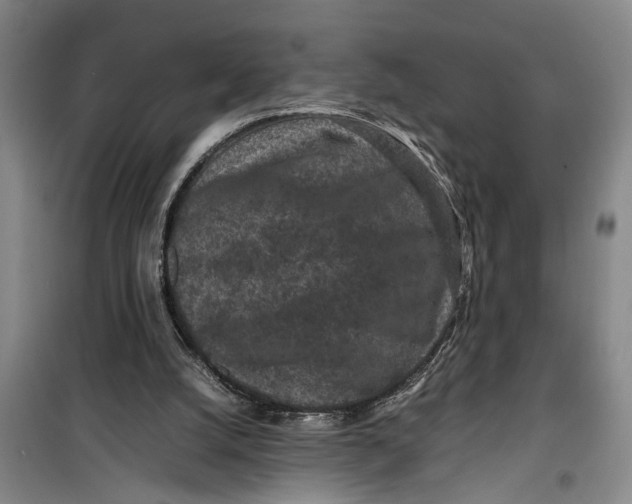 X0000099410056200805301354