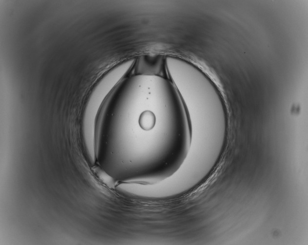 X0000099410057200805301354