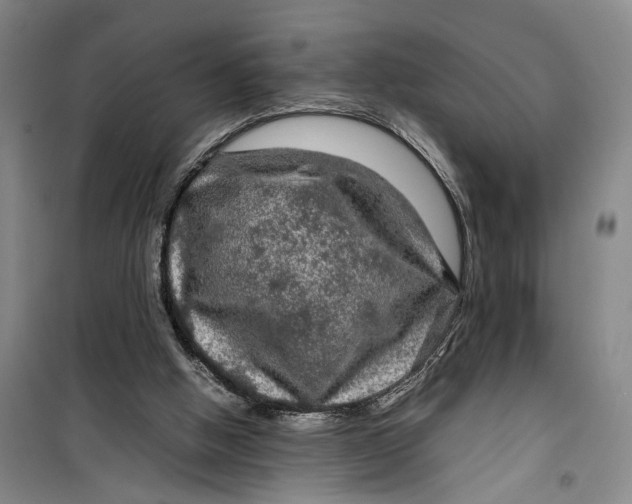 X0000099410058200805301354