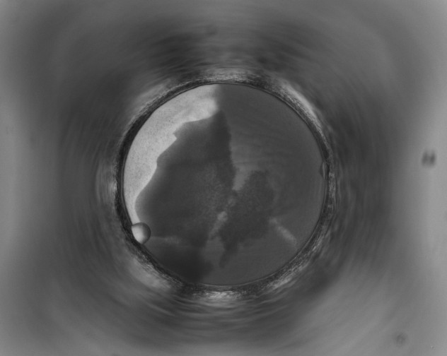 X0000099410059200805301354