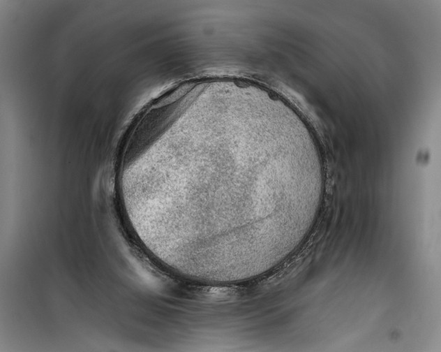 X0000099410060200805301355