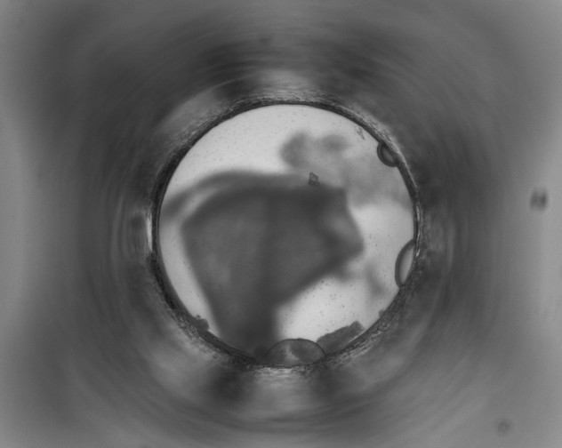 X0000099410061200805301355