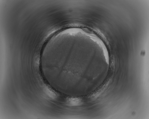 X0000099410063200805301355