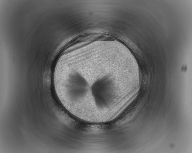 X0000099410064200805301355