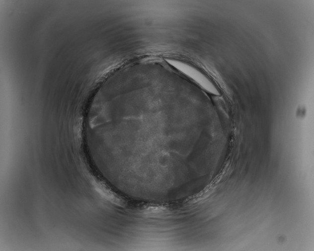 X0000099410066200805301355