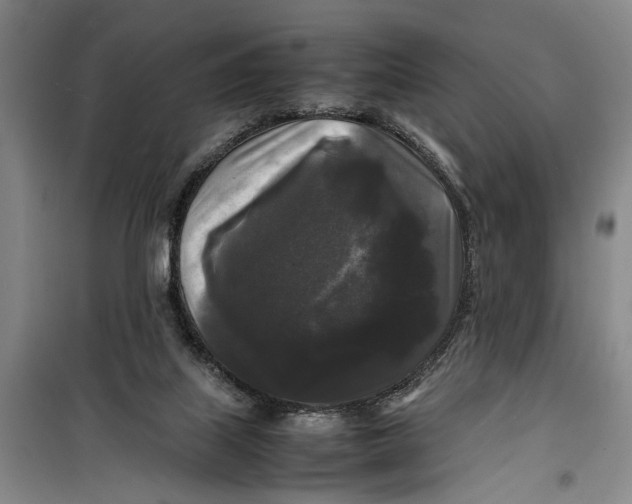 X0000099410067200805301355