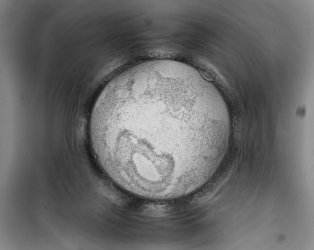 X0000099410071200805301355