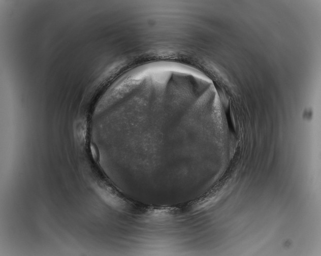 X0000099410072200805301355