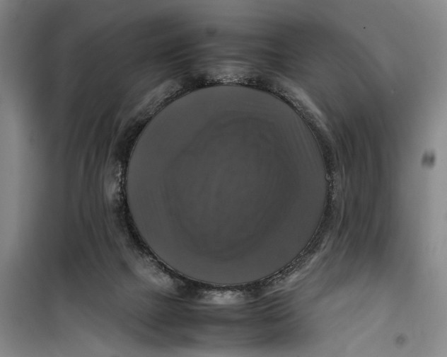 X0000099410073200805301355