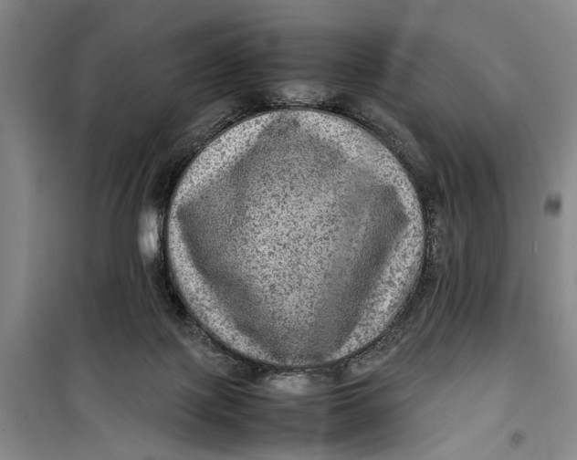 X0000099410075200805301355