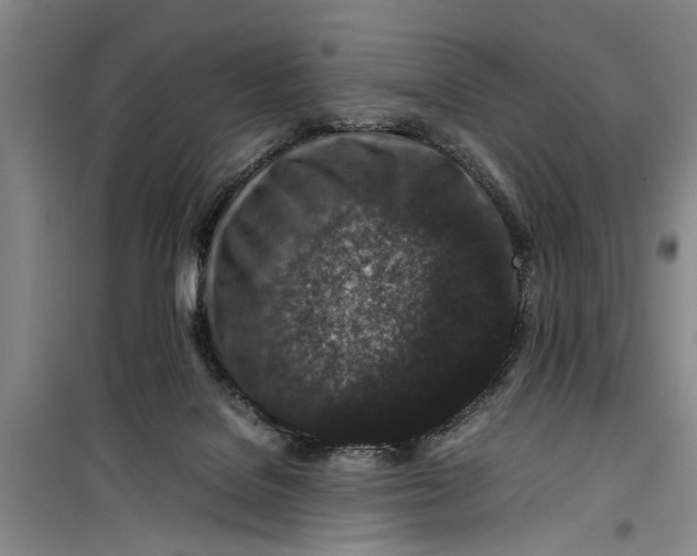 X0000099410076200805301355