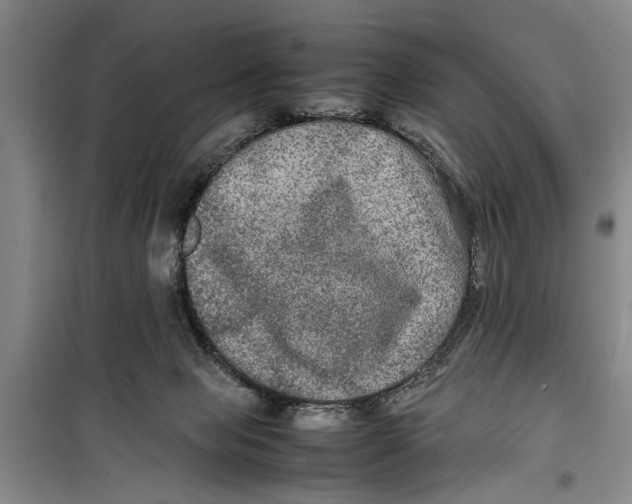 X0000099410077200805301355