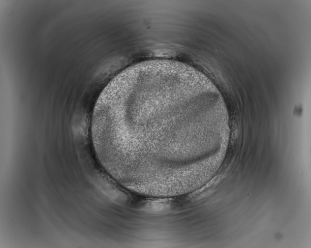 X0000099410078200805301355