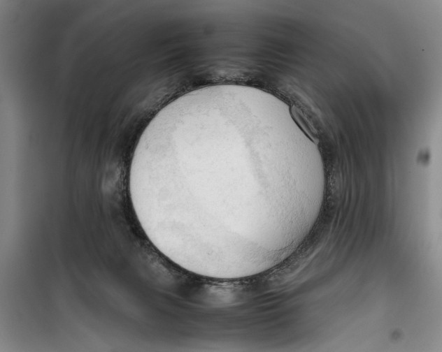 X0000099410079200805301355