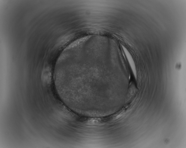 X0000099410080200805301355