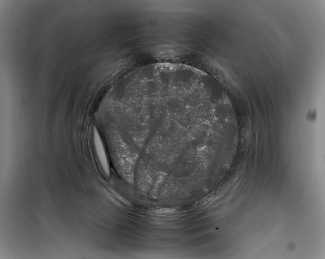 X0000099410081200805301355