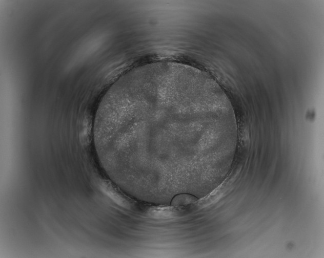 X0000099410082200805301355