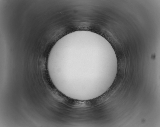 X0000099410083200805301355