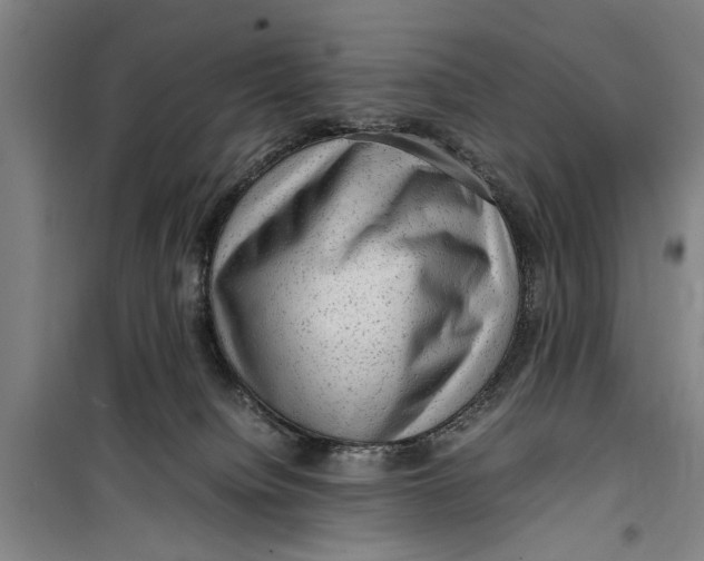 X0000099410084200805301355