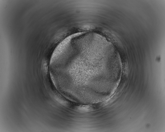 X0000099410086200805301355