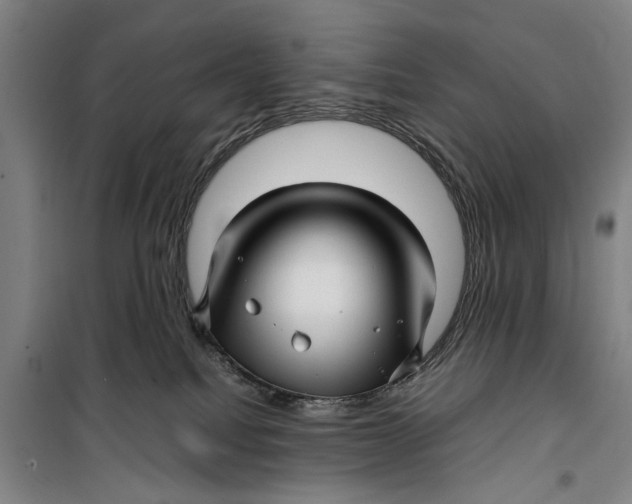 X0000099410088200805301355