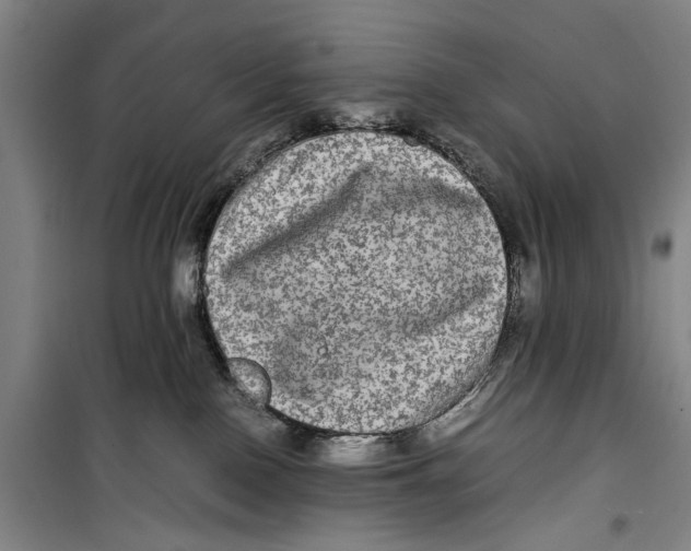 X0000099410090200805301355