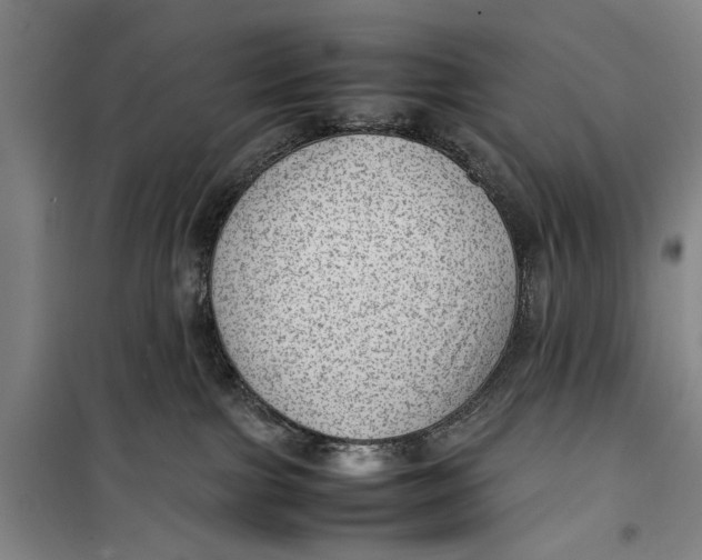 X0000099410091200805301355