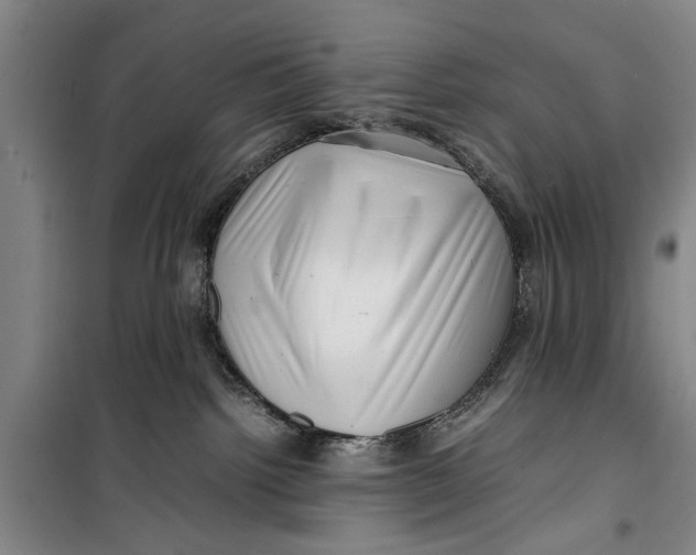 X0000099410092200805301355