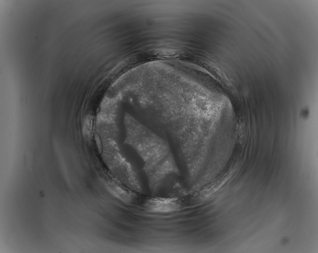 X0000099410093200805301355