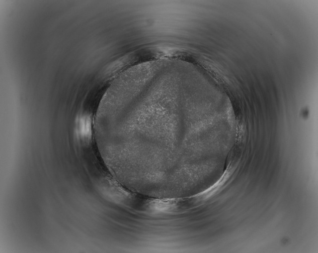 X0000099410094200805301355