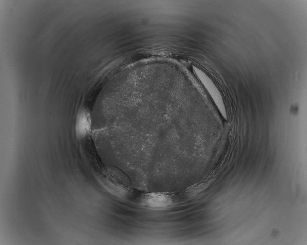 X0000099410095200805301355