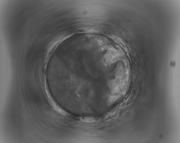 X0000099410097200805301354