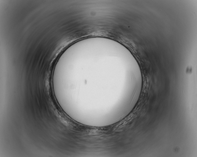 X0000099410098200805301354