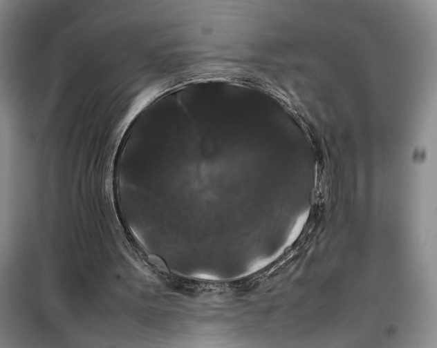 X0000099410099200805301354