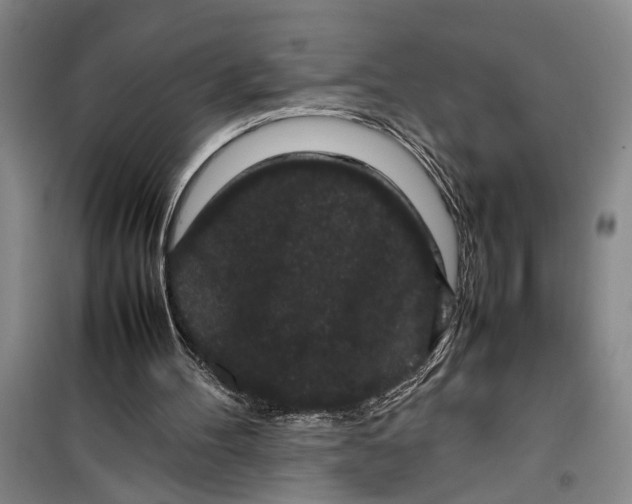 X0000099410100200805301354