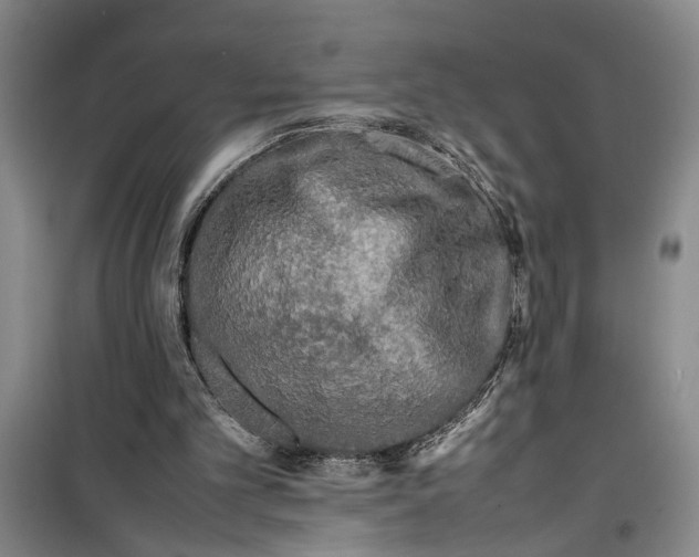 X0000099410101200805301354