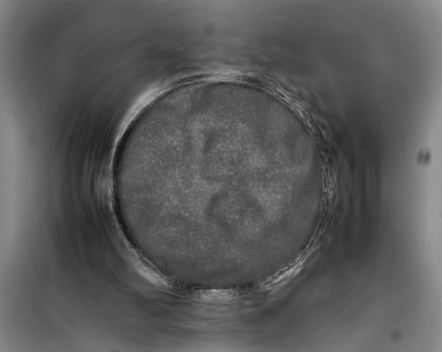 X0000099410102200805301354