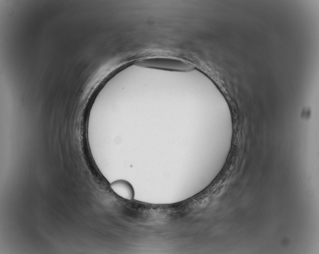 X0000099410103200805301354