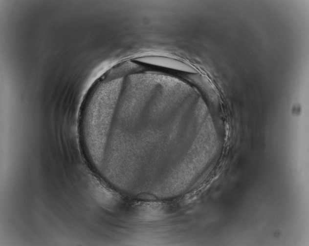 X0000099410104200805301354