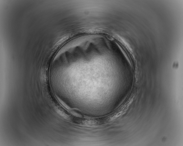 X0000099410105200805301354