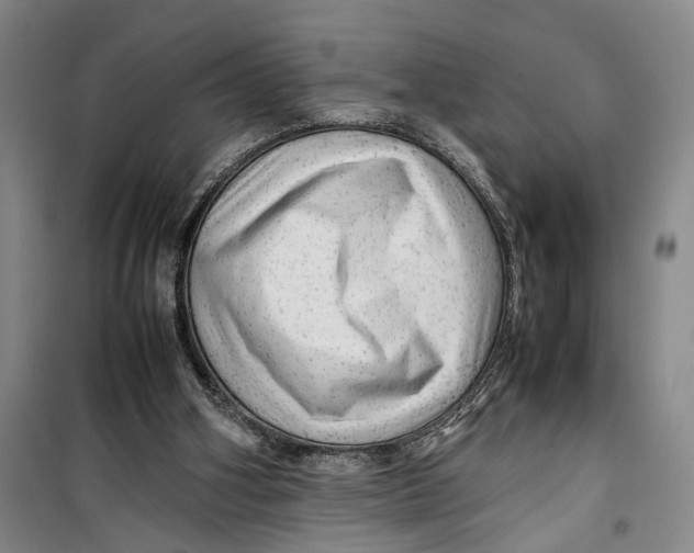 X0000099410106200805301354