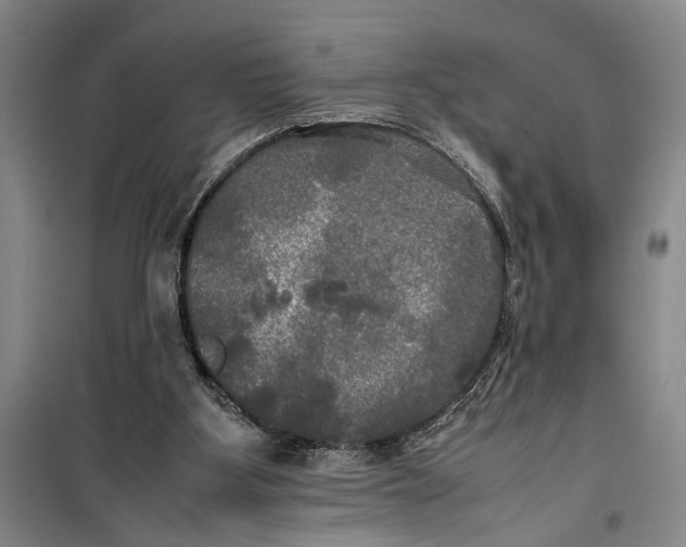 X0000099410107200805301354